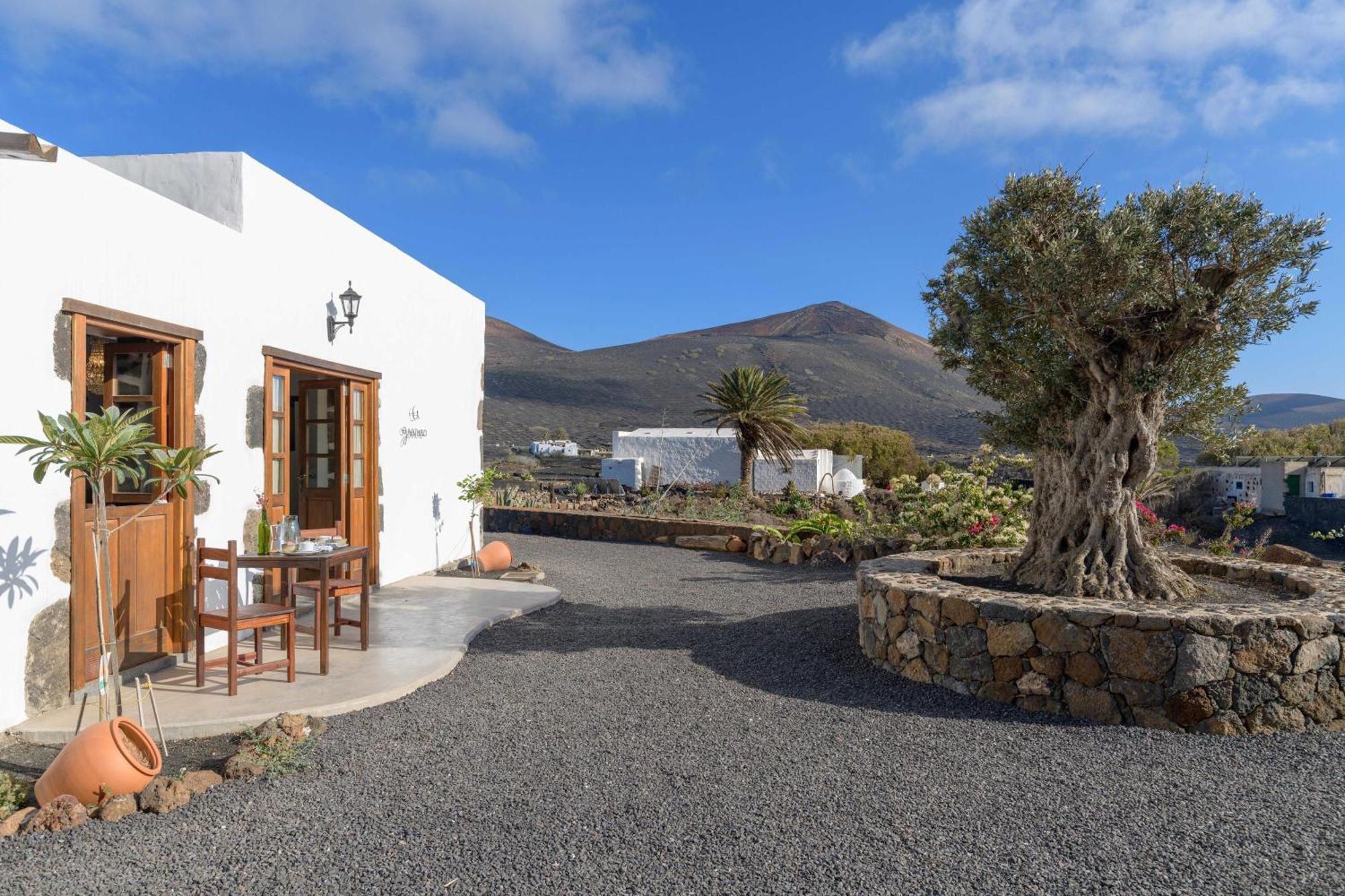 Finca De La Geria يايثا المظهر الخارجي الصورة